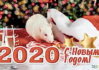 С Новым 2020 годом!